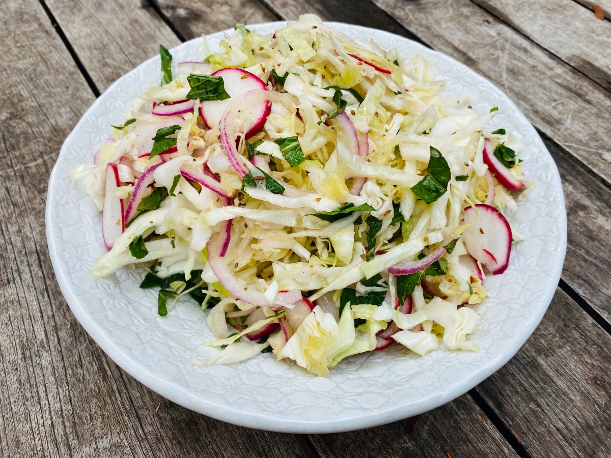 Karen Martini’s Cabbage Salad Robby Dog Cooks